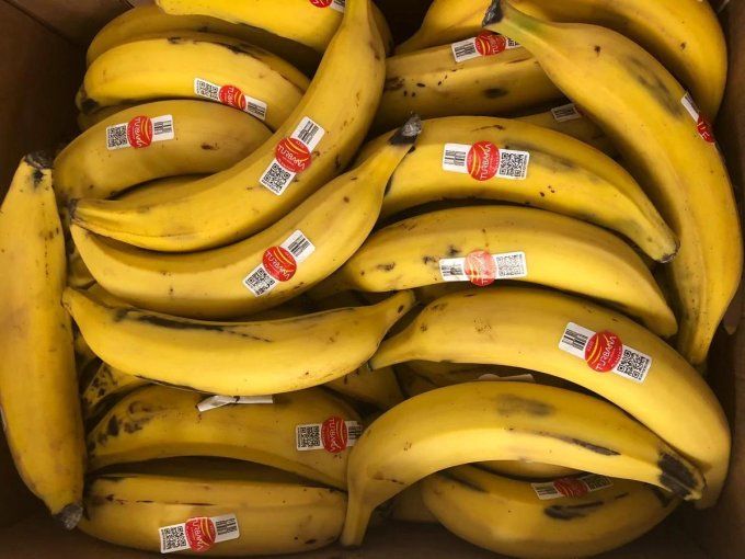 BANANES PLANTAINS -CARTON 20 KG